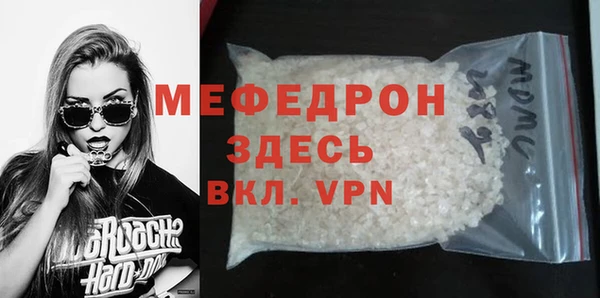 индика Новозыбков