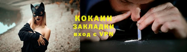 мет Бородино